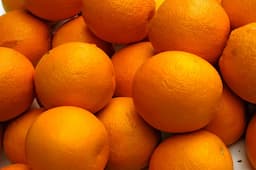 Big Orange logo