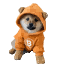 doggotothemoon logo